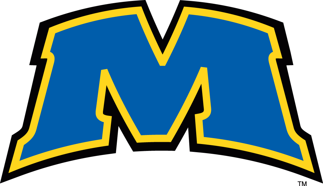 Morehead State Eagles 2005-Pres Alternate Logo iron on transfers for T-shirts